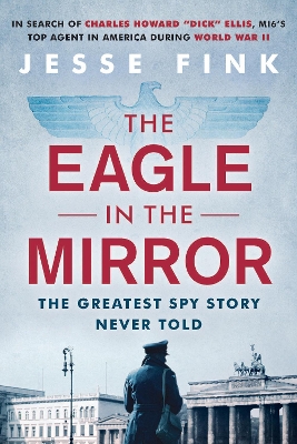 The Eagle in the Mirror book