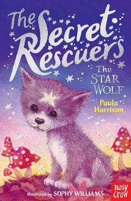 Secret Rescuers: The Star Wolf book