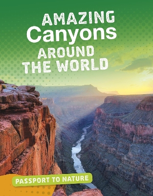 Amazing Canyons Around the World by Gail Terp