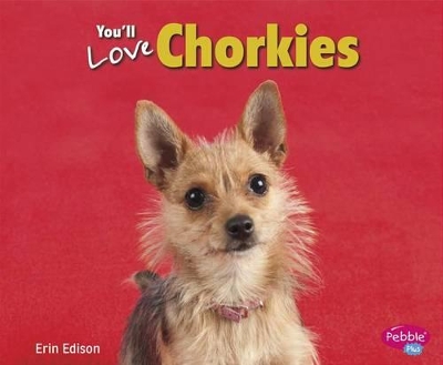 You'll Love Chorkies book