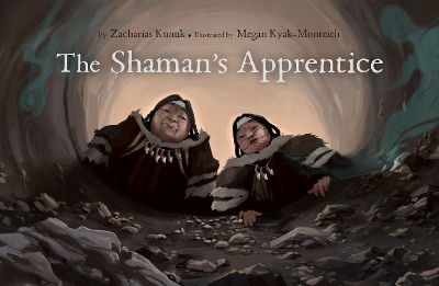 The Shaman's Apprentice book