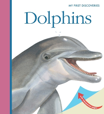 Dolphins book