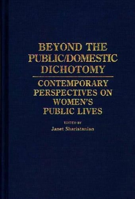 Beyond the Public/Domestic Dichotomy book