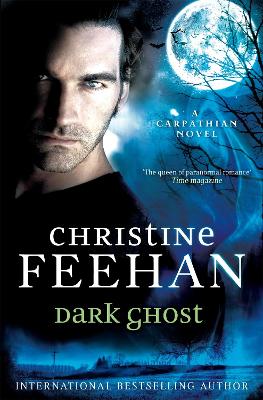 Dark Ghost book