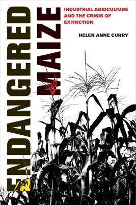 Endangered Maize: Industrial Agriculture and the Crisis of Extinction book