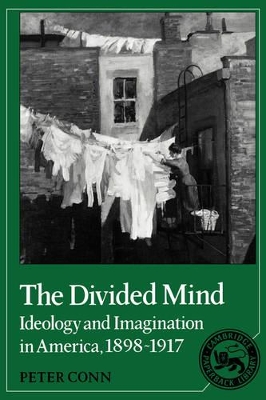 Divided Mind book