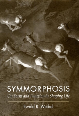 Symmorphosis book
