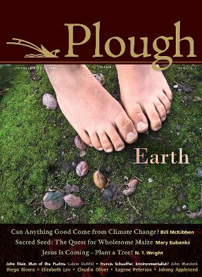 Plough Quarterly No. 4 book