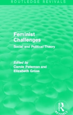 Feminist Challenges book