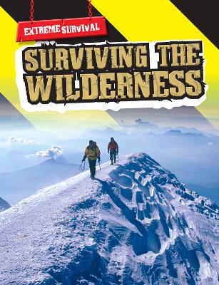 Surviving in the Wilderness book