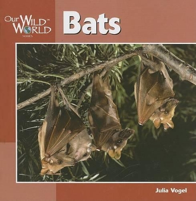 Bats by Julia Vogel