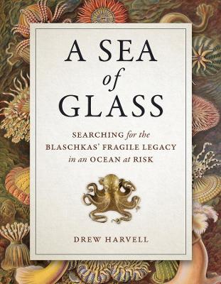 Sea of Glass book