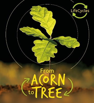 Lifecycles - Acorn to Tree book