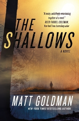 The Shallows: A Nils Shapiro Novel by Matt Goldman