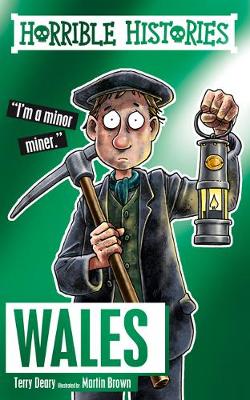 Horrible Histories Special: Wales book