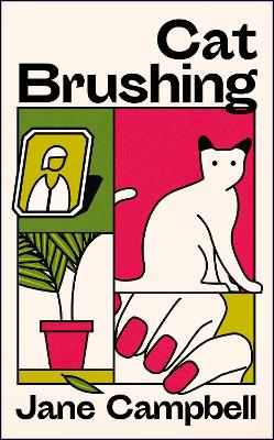 Cat Brushing: a dazzling short story collection about thirteen older women book