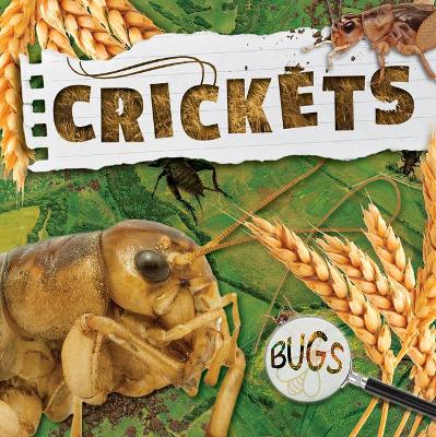 Crickets by William Anthony