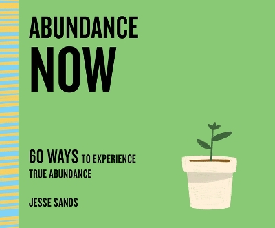 Abundance Now: 60 Ways to Experience True Abundance by Jesse Sands
