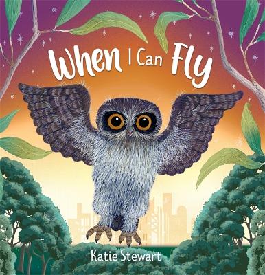 When I Can Fly book