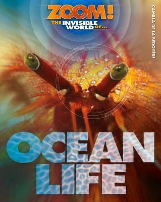 Zoom! The Invisible World of Ocean Life book