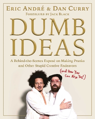 Dumb Ideas: A Behind-the-Scenes Exposé on Making Pranks and Other Stupid Creative Endeavors (and How You Can Also Too!) book