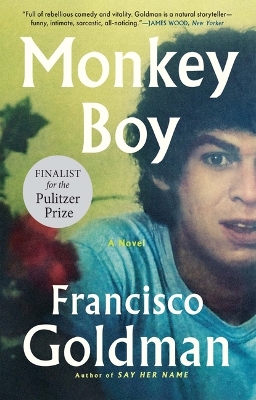 Monkey Boy book