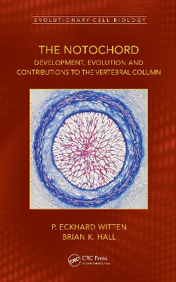 The Notochord: Development, Evolution and contributions to the vertebral column book