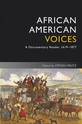 African American Voices by Steven Mintz