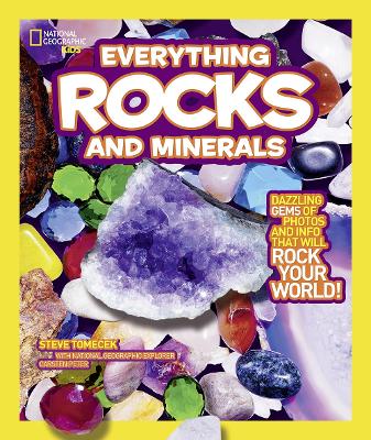 Everything Rocks and Minerals book