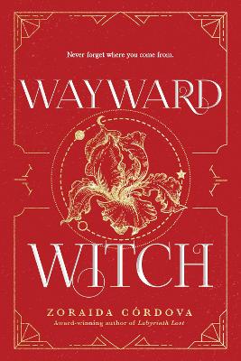 Wayward Witch book