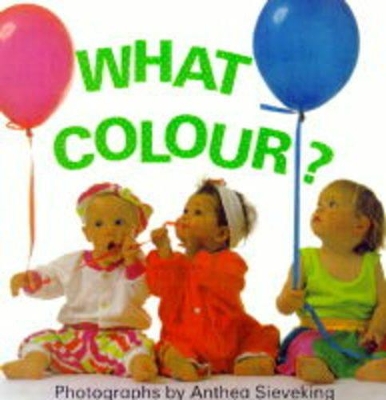 What Colour? by Debbie MacKinnon