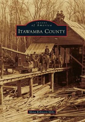 Itawamba County book