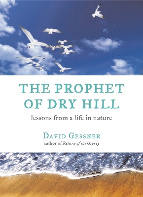Prophet of Dry Hill by David Gessner