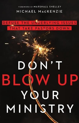 Don`t Blow Up Your Ministry – Defuse the Underlying Issues That Take Pastors Down book