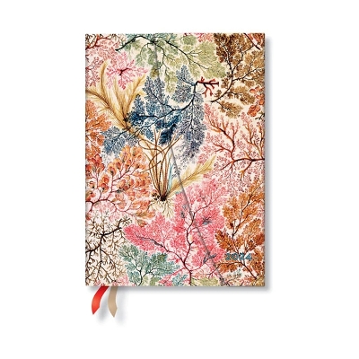 Anemone (William Kilburn) Midi Verso 12-month Dayplanner 2024 book