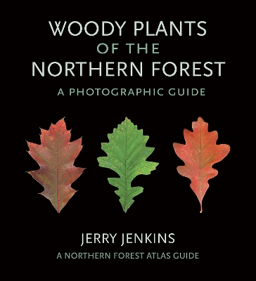 Woody Plants of the Northern Forest book