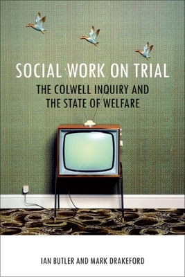 Social work on trial book