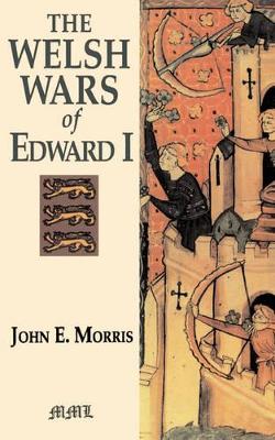 Welsh Wars Of Edward I book