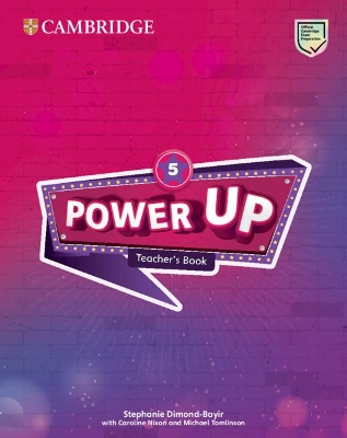 Power Up Level 5 Teacher's Book book