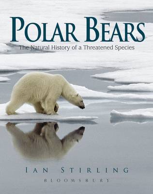 Polar Bears book