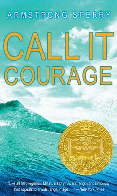 Call It Courage book