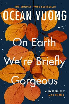 On Earth We're Briefly Gorgeous book