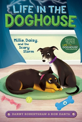 Millie, Daisy, and the Scary Storm book