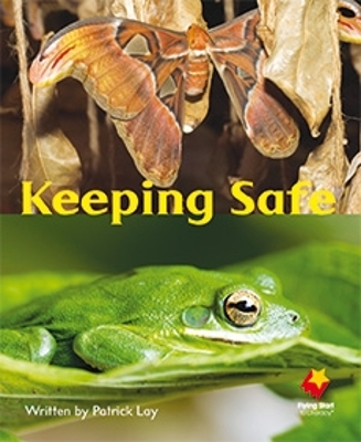 Keeping Safe book