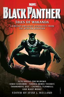 Black Panther: Tales of Wakanda book