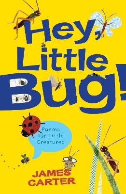 Hey Little Bug book