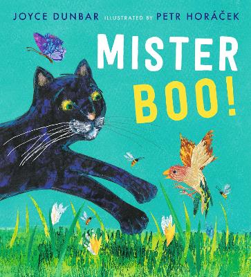 Mister Boo! by Joyce Dunbar