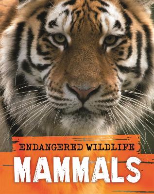 Endangered Wildlife: Rescuing Mammals book