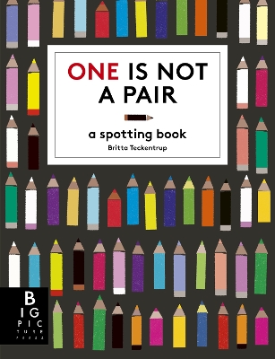 One is Not a Pair: A Spotting Book book