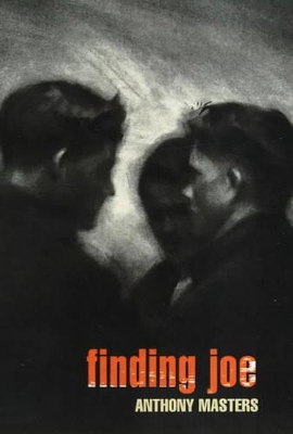 Finding Joe book